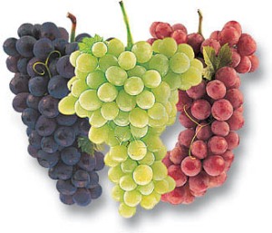 فوائد ثمينة عن الفواكه Grapes