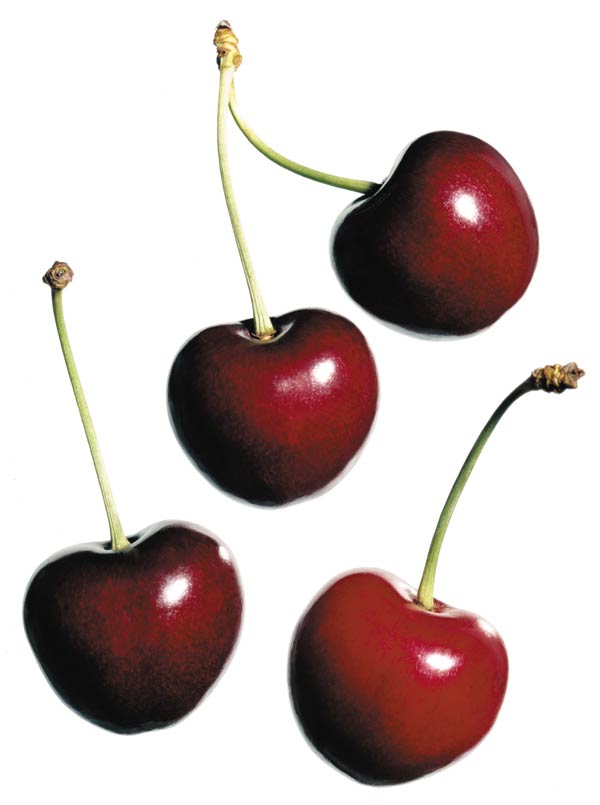 Cherries Fruit